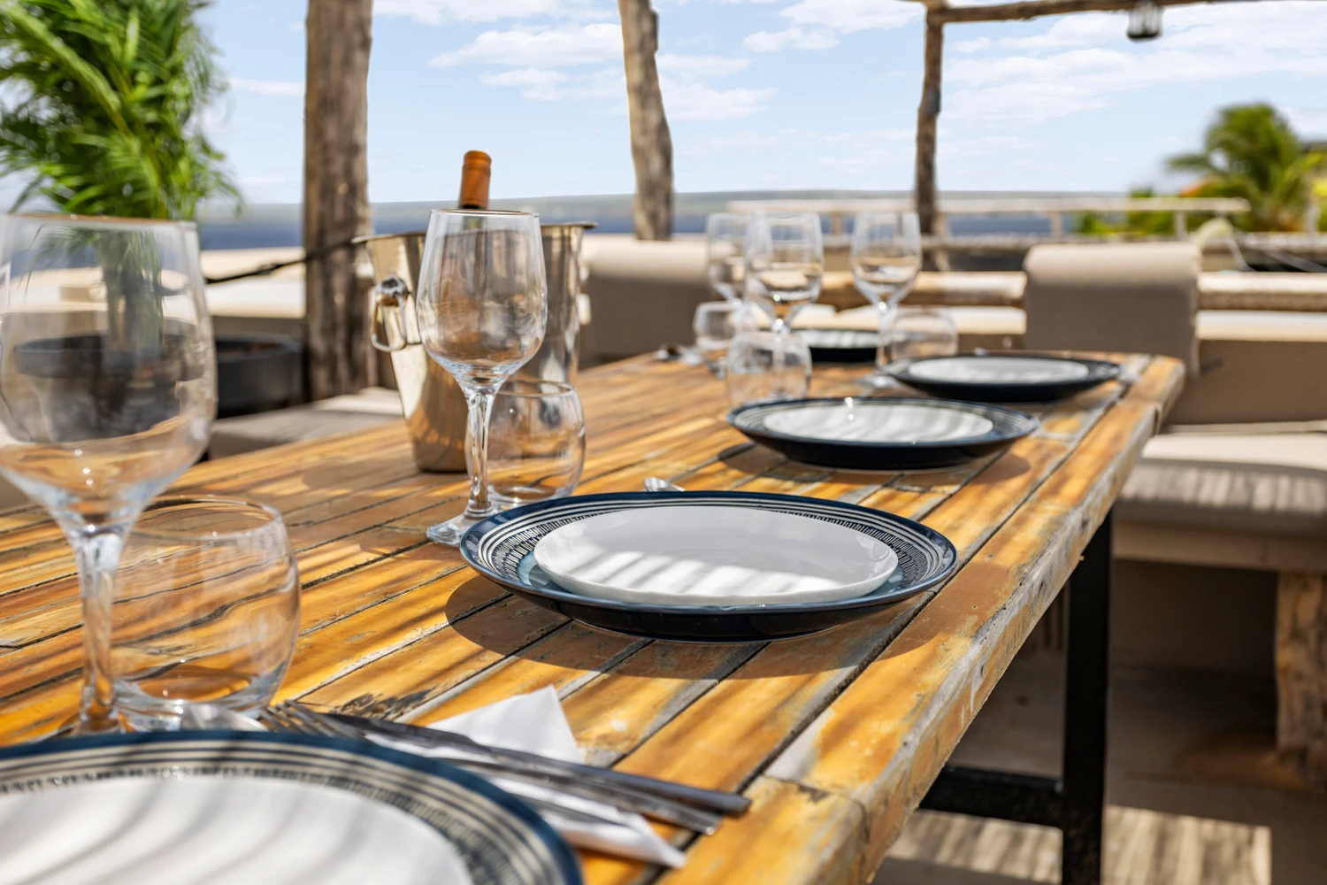 caren paradise -true media culture-01.jpg