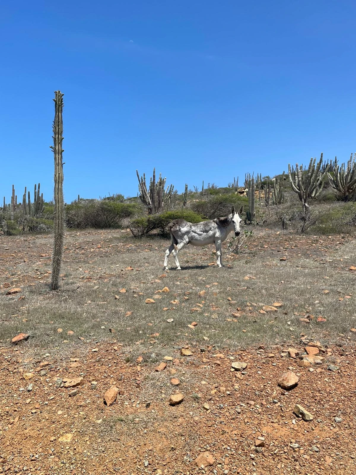 Arikok National Park