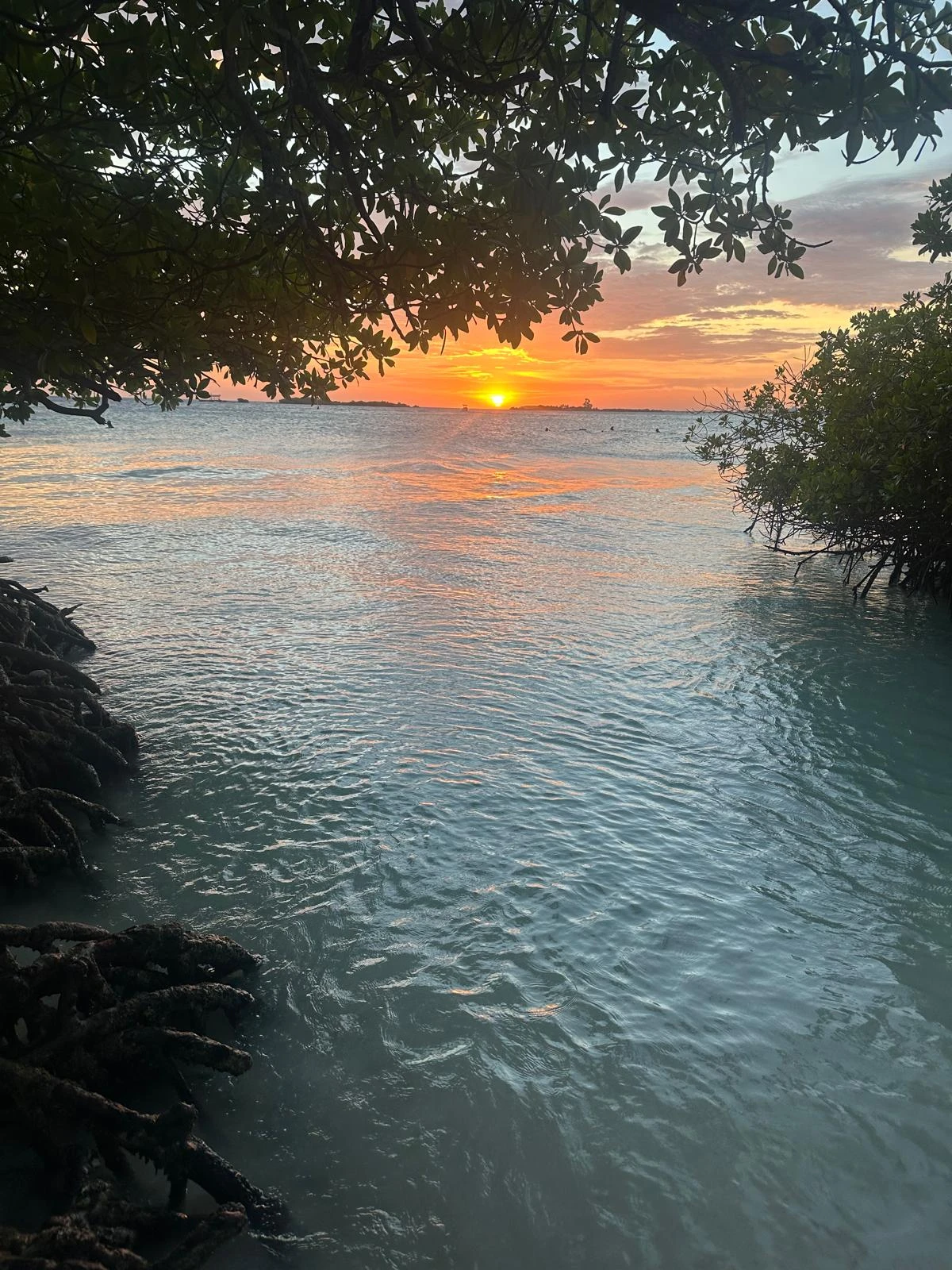 Aruba Sunset Beach